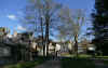 parc_ronsard_7.jpg (121123 octets)